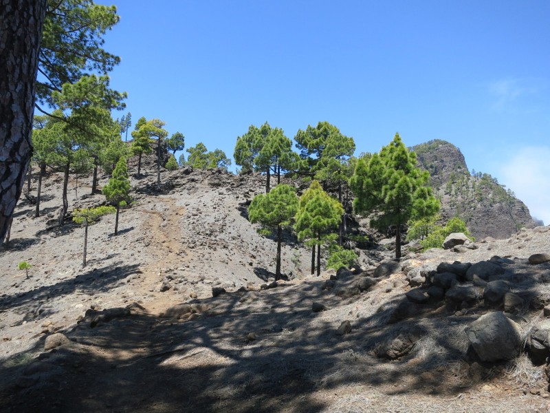 El Barrial - Pico Bejenado