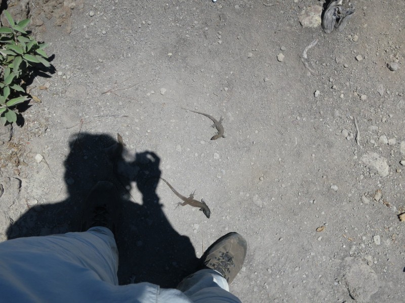 El Barrial - Pico Bejenado