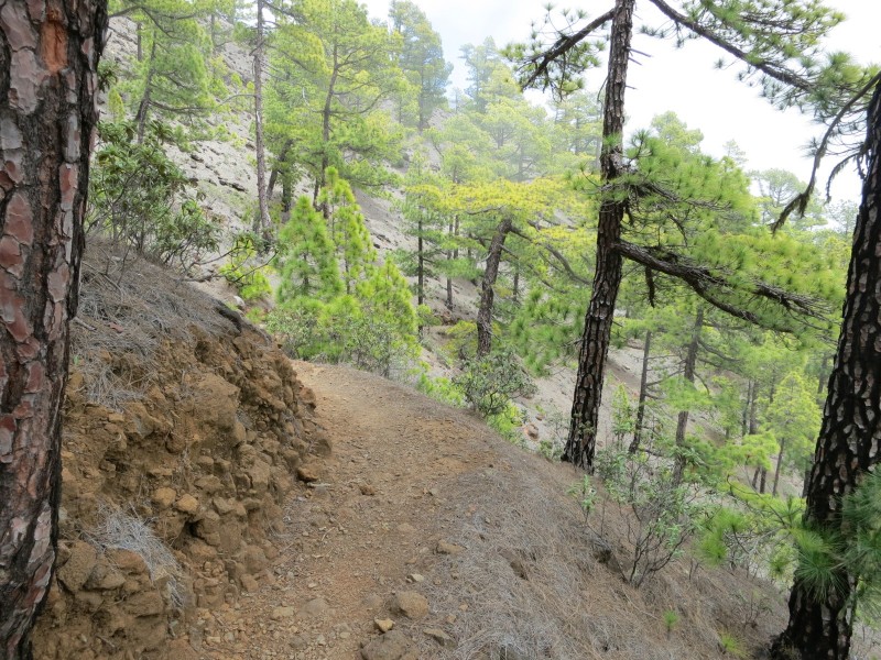 El Barrial - Pico Bejenado