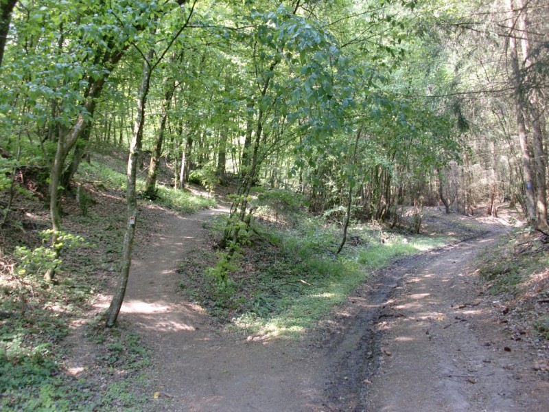 Traumpfad Eltzer Burgpanorama