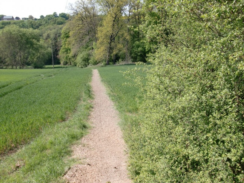Traumpfad Eltzer Burgpanorama