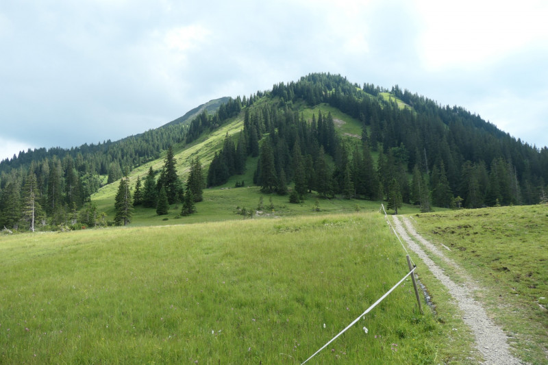 Enningalm - Krottenkpfel