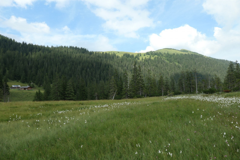 Enningalm - Krottenkpfel