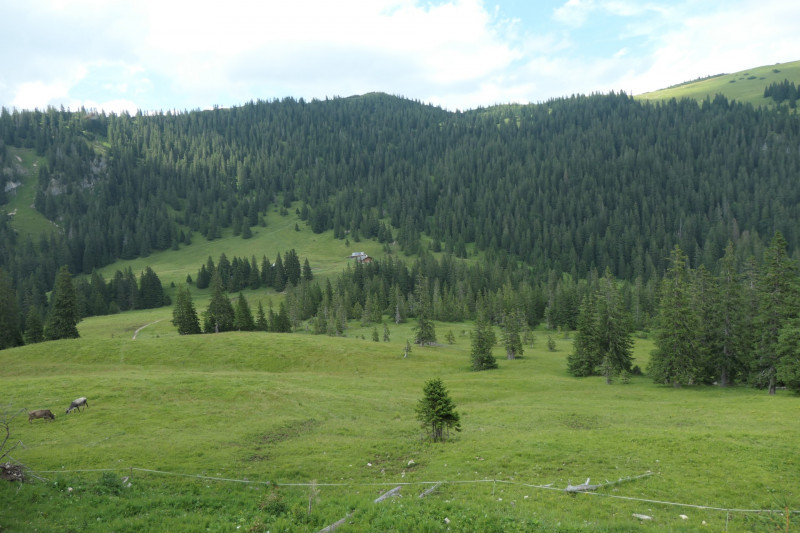 Enningalm - Krottenkpfel