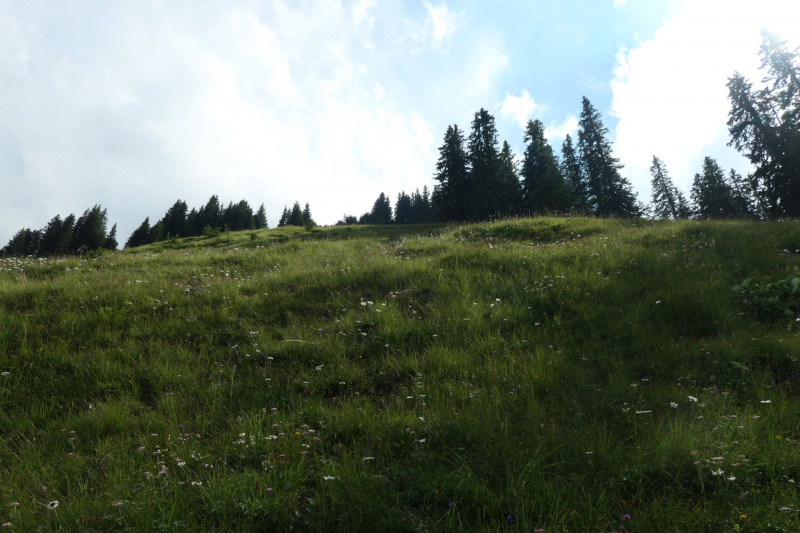 Enningalm - Krottenkpfel