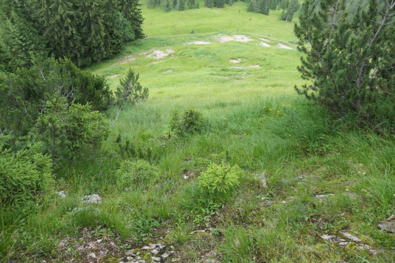 Enningalm - Krottenkpfel