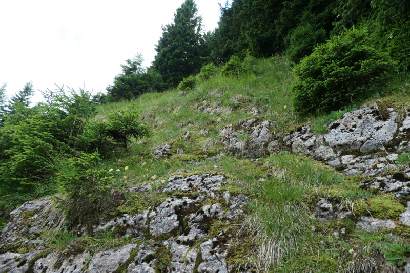 Enningalm - Krottenkpfel