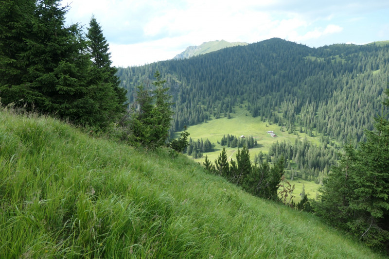 Enningalm - Krottenkpfel