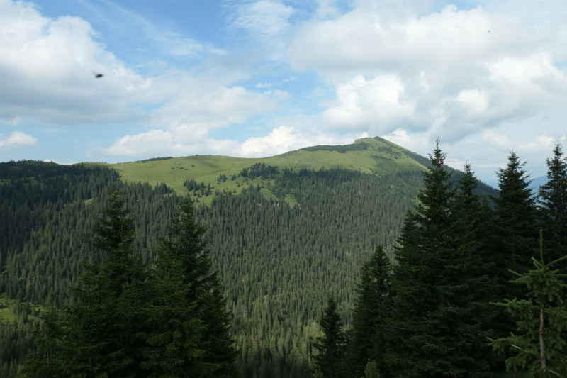 Enningalm - Krottenkpfel