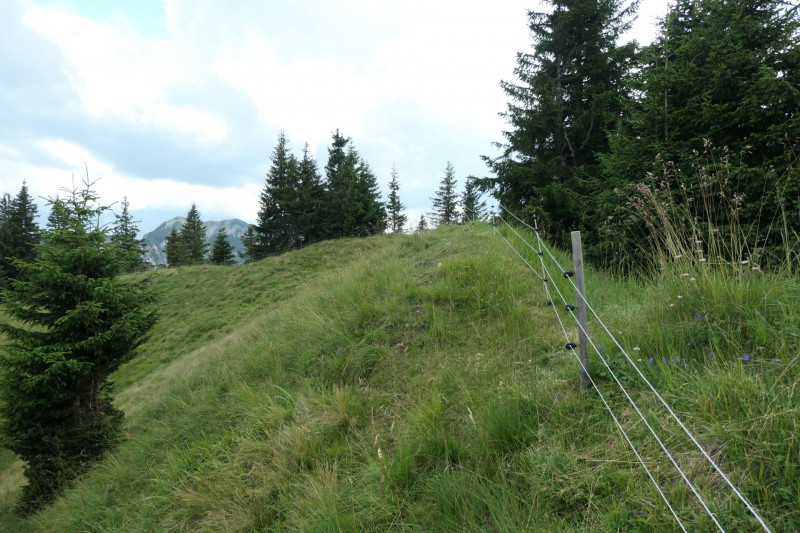 Enningalm - Krottenkpfel