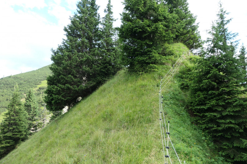 Enningalm - Krottenkpfel