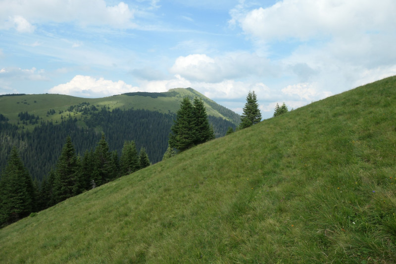 Enningalm - Krottenkpfel