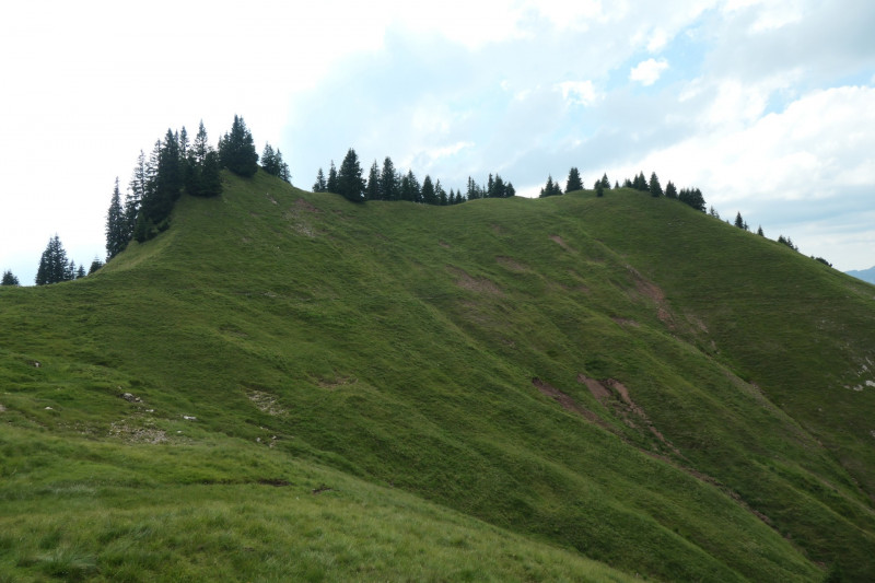 Enningalm - Krottenkpfel