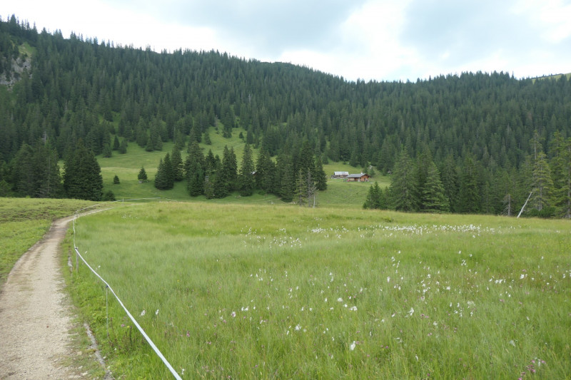 Enningalm - Krottenkpfel