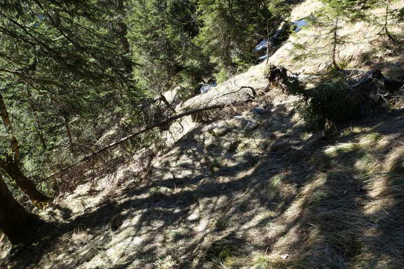 Eschenlohe - Heldenkreuz - Osterfeuerspitze - Hirschlaine