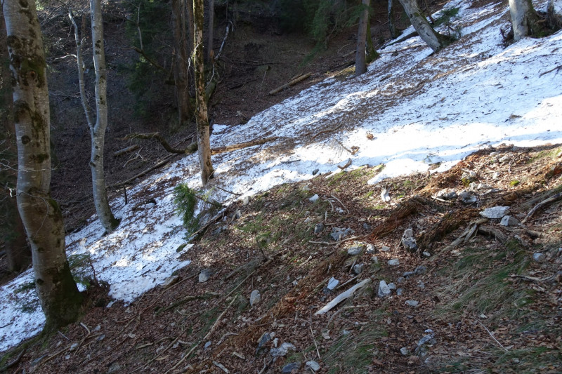 Eschenlohe - Heldenkreuz - Osterfeuerspitze - Hirschlaine