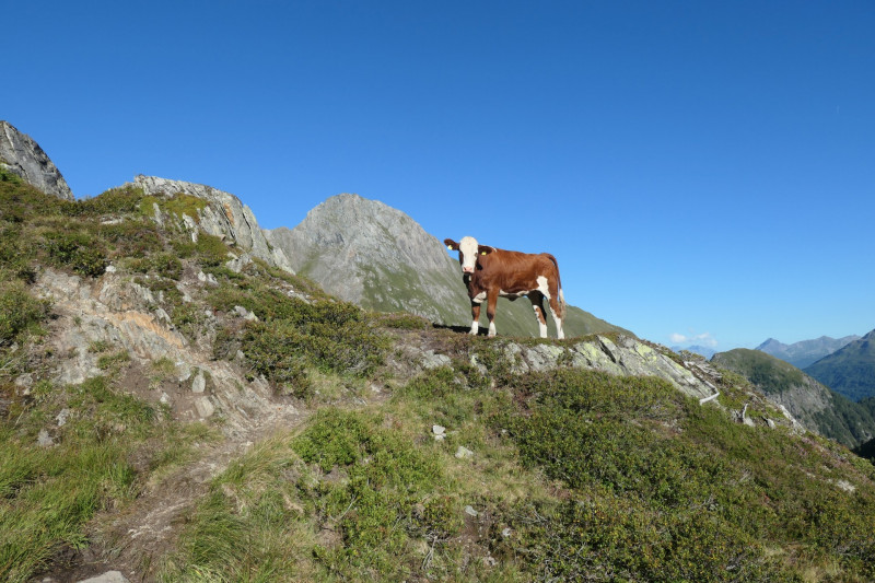 Essener-Rostocker H�tte - Rostocker Eck - Malhamspitze-n- - Mittlere Malhamspitze - Essener-Rostocker H�tte