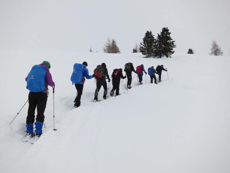 Faneshütte - Ciastel de Fanes