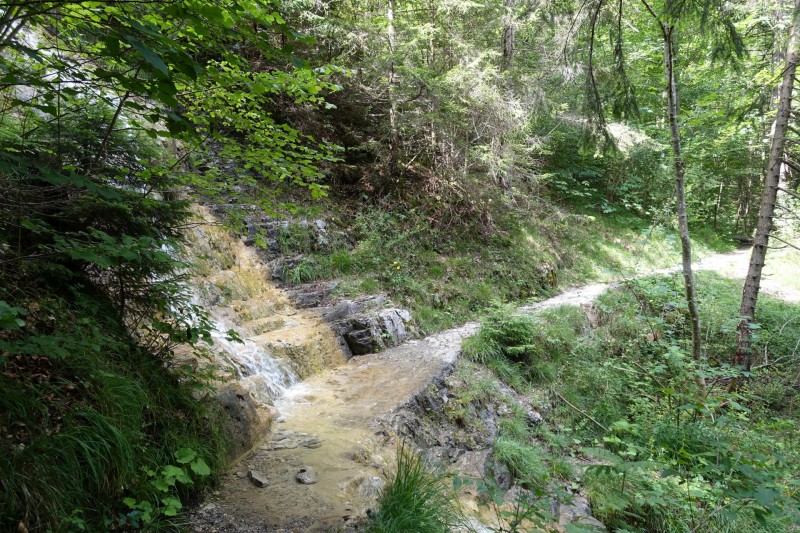 Farchant - Schafkopf
