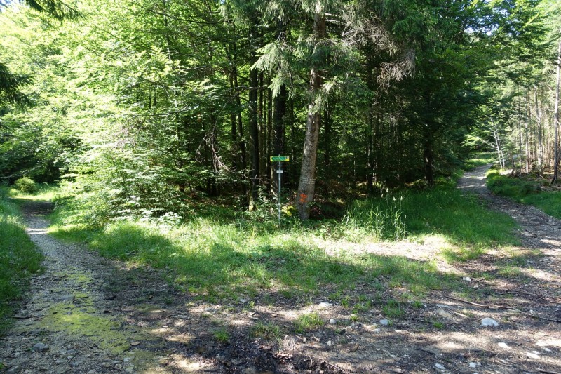 Farchant - Schafkopf
