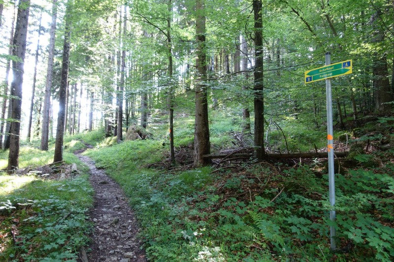 Farchant - Schafkopf