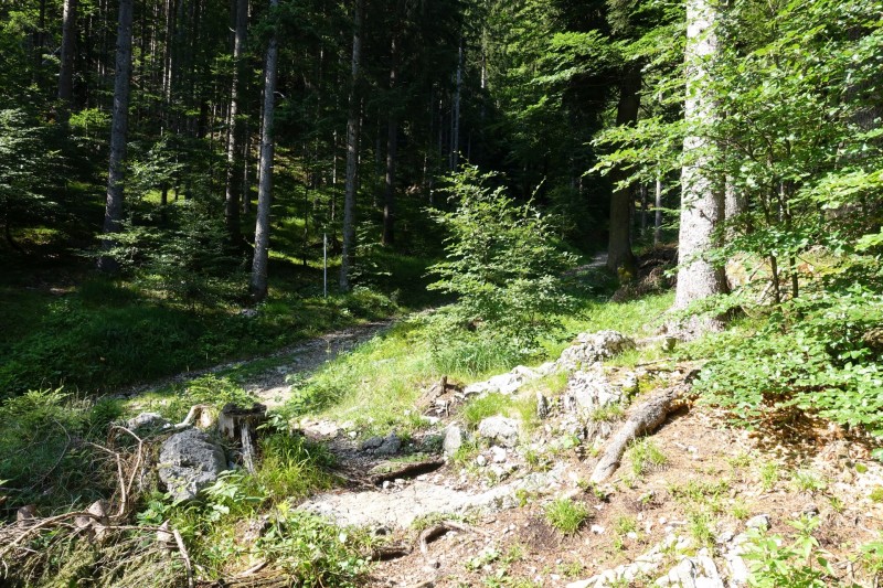 Farchant - Schafkopf