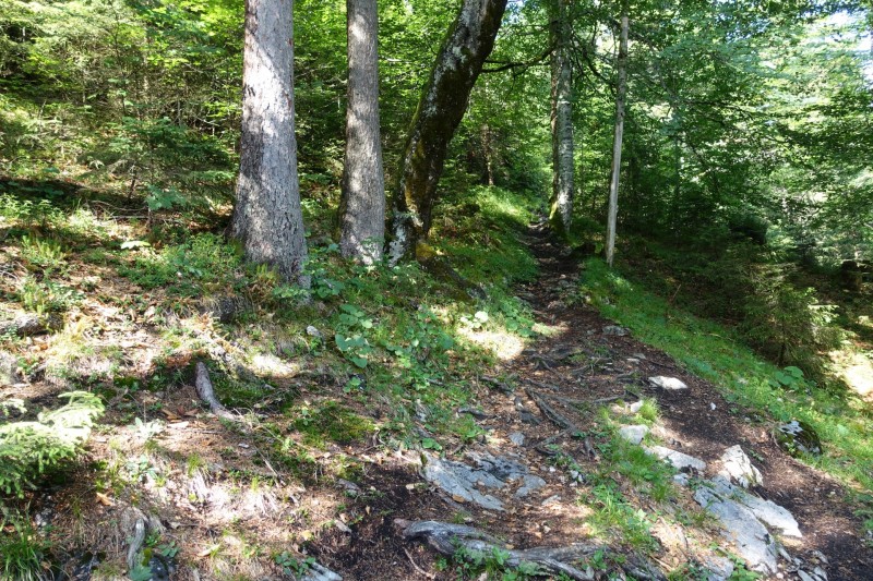 Farchant - Schafkopf