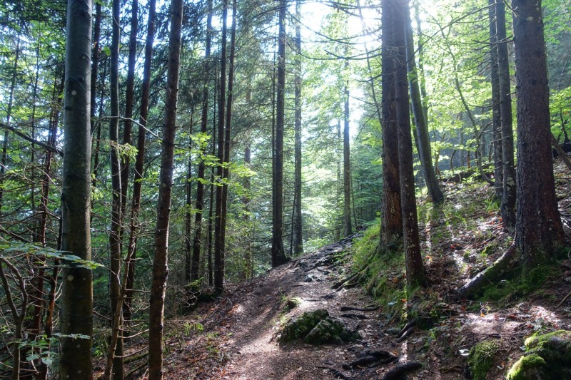 Farchant - Schafkopf