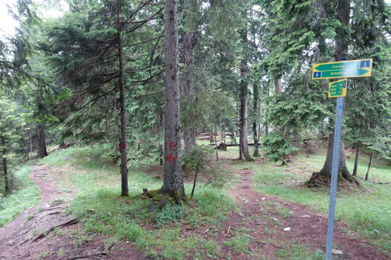 Farchant - Schafkopf