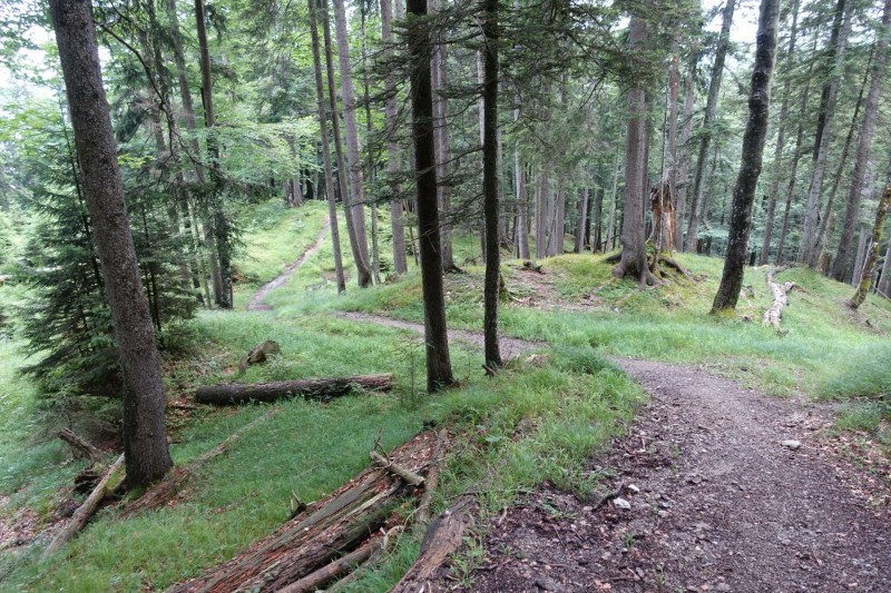 Farchant - Schafkopf
