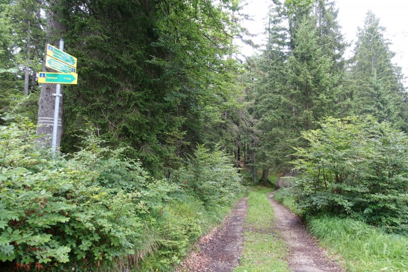 Farchant - Schafkopf