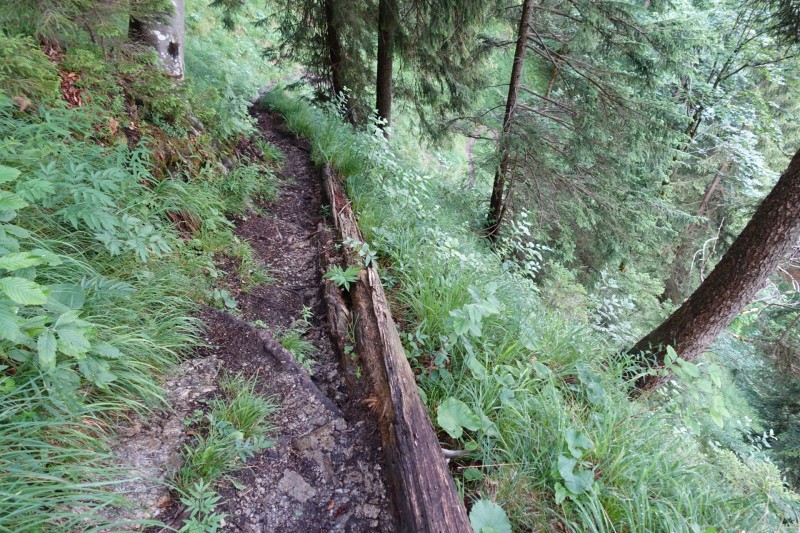 Farchant - Schafkopf