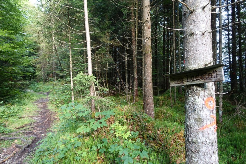 Farchant - Schafkopf