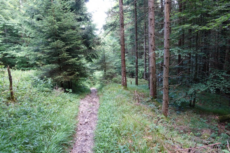 Farchant - Schafkopf