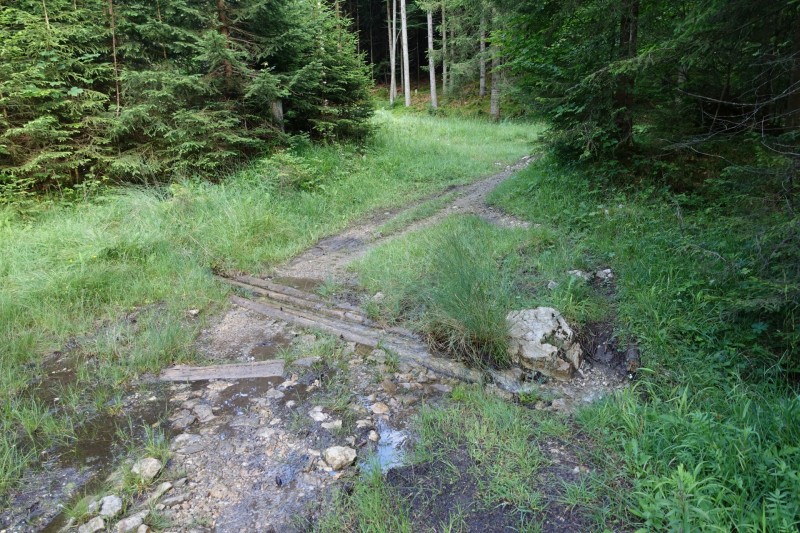 Farchant - Schafkopf