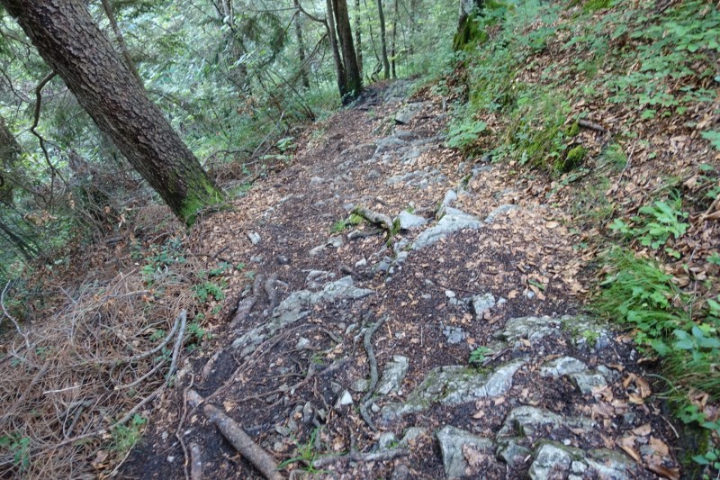 Farchant - Schafkopf