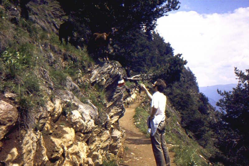 Felsenweg
