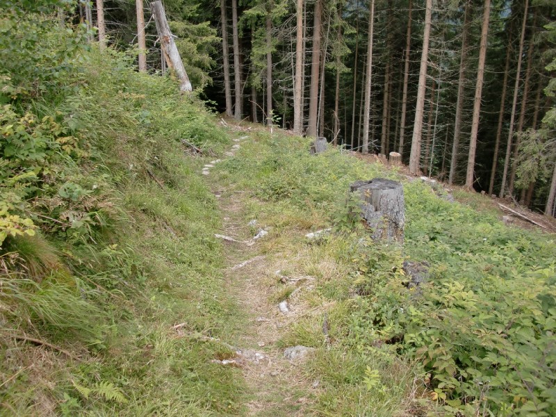 Finkenberg - Gamsh�tte