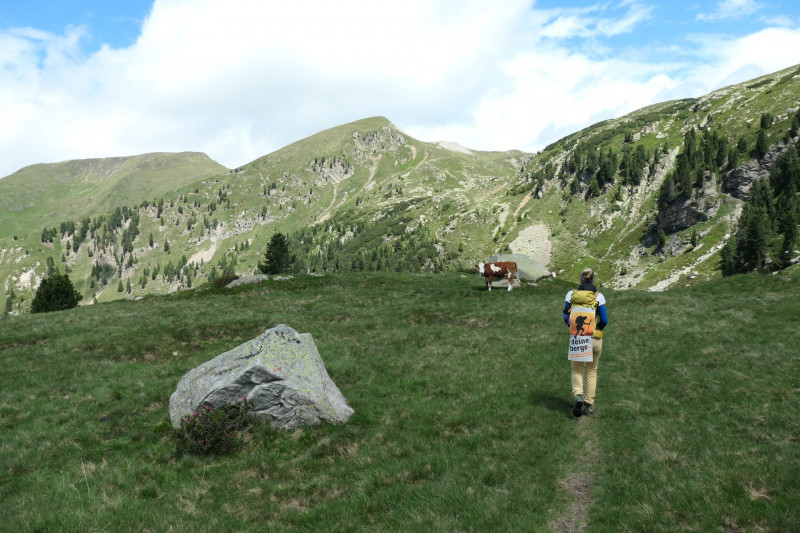 Flaggerschartenhtte - Tagewaldhorn - Distelsee - Niedereck - Penser Joch