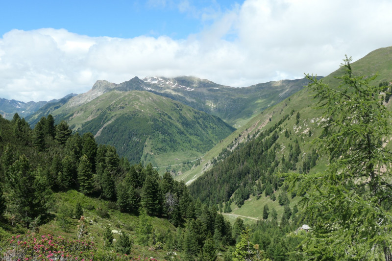 Flaggerschartenhtte - Tagewaldhorn - Distelsee - Niedereck - Penser Joch