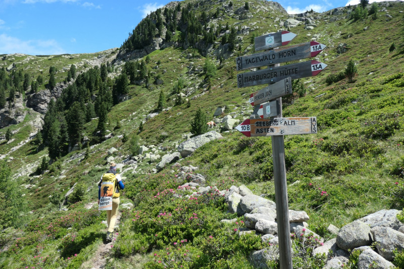 Flaggerschartenhtte - Tagewaldhorn - Distelsee - Niedereck - Penser Joch