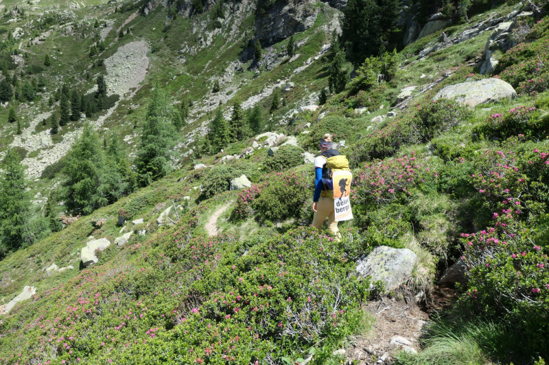 Flaggerschartenhtte - Tagewaldhorn - Distelsee - Niedereck - Penser Joch