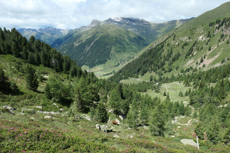 Flaggerschartenhtte - Tagewaldhorn - Distelsee - Niedereck - Penser Joch