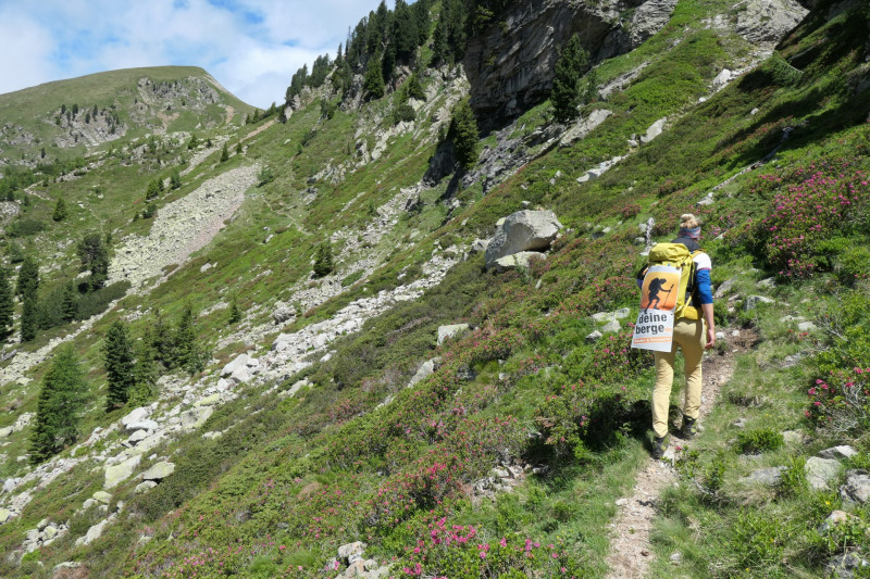 Flaggerschartenhtte - Tagewaldhorn - Distelsee - Niedereck - Penser Joch