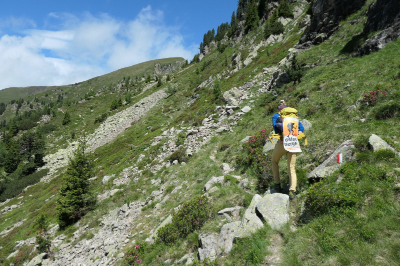 Flaggerschartenhtte - Tagewaldhorn - Distelsee - Niedereck - Penser Joch