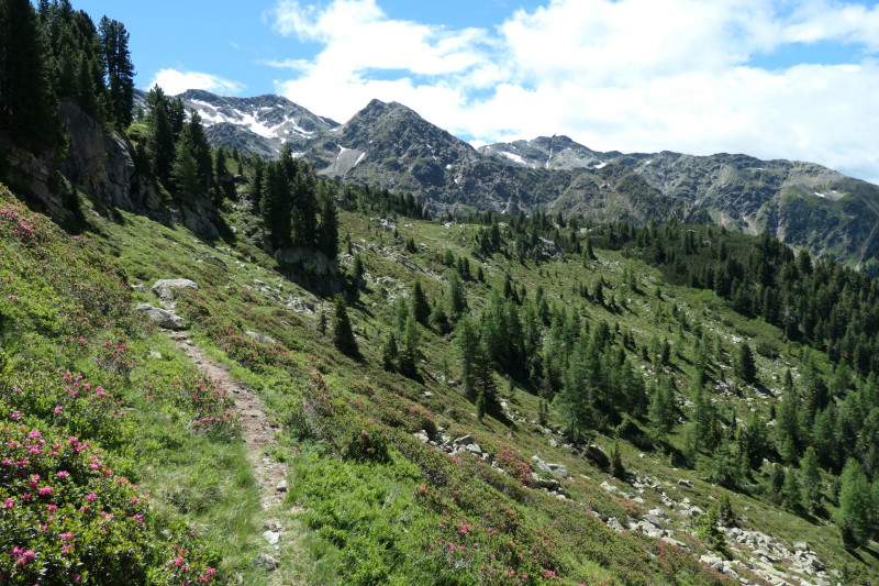 Flaggerschartenhtte - Tagewaldhorn - Distelsee - Niedereck - Penser Joch