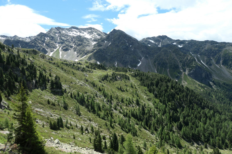 Flaggerschartenhtte - Tagewaldhorn - Distelsee - Niedereck - Penser Joch