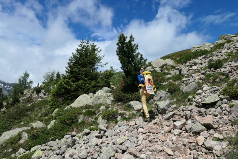 Flaggerschartenhtte - Tagewaldhorn - Distelsee - Niedereck - Penser Joch