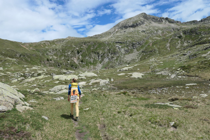 Flaggerschartenhtte - Tagewaldhorn - Distelsee - Niedereck - Penser Joch