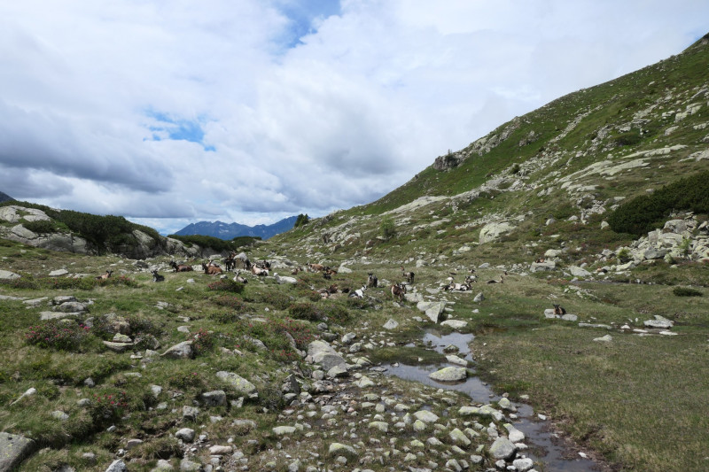 Flaggerschartenhtte - Tagewaldhorn - Distelsee - Niedereck - Penser Joch